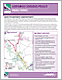 Winter 2010 Newsletter 
